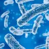 Infectious diseases